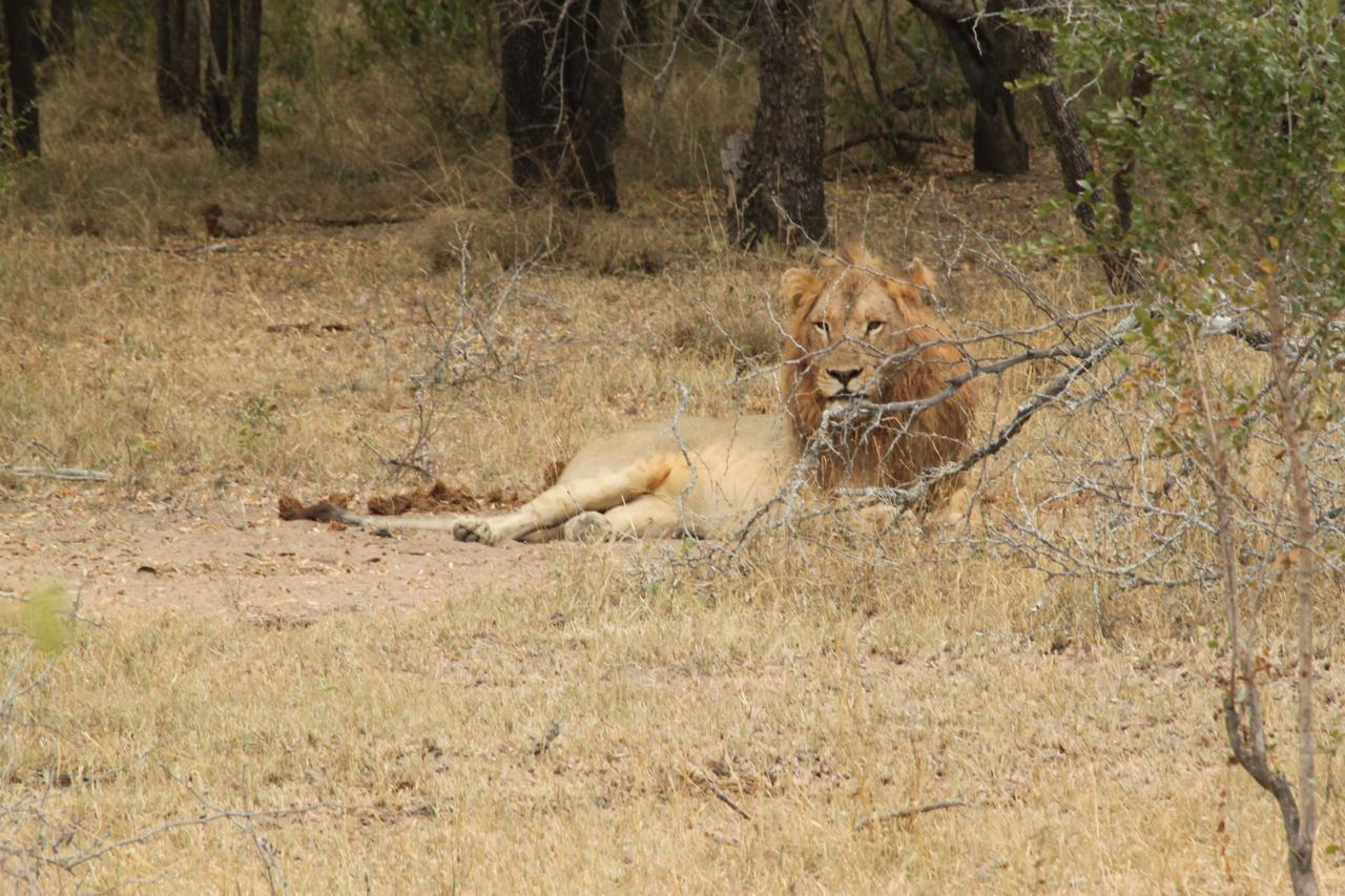 Kierieklapper Lodge Hectorspruit
